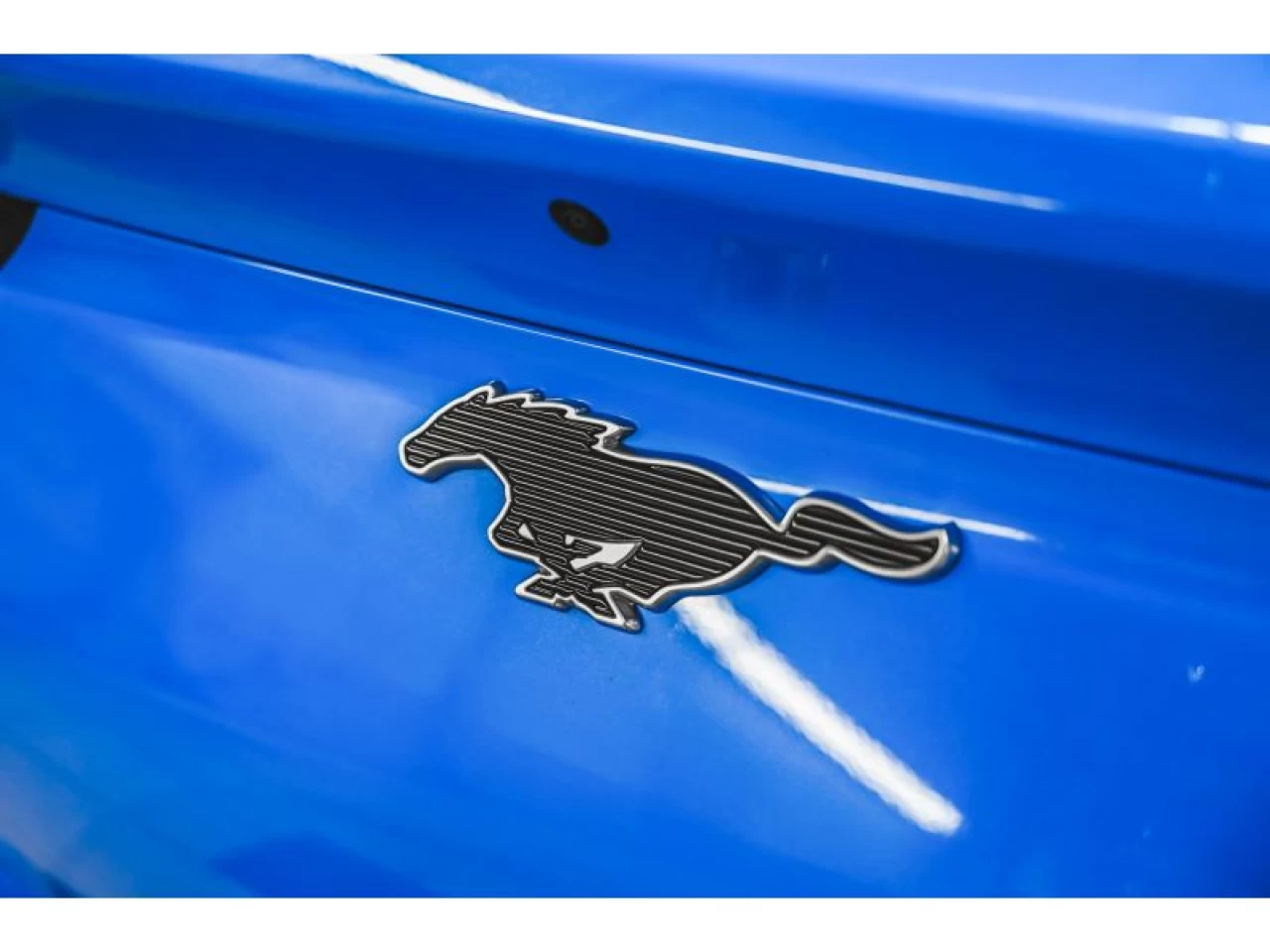 2024 Ford Mustang Mach-E Premium AWD LONGUE AUTONOMIE TOIT PANORAMIQUE Image principale